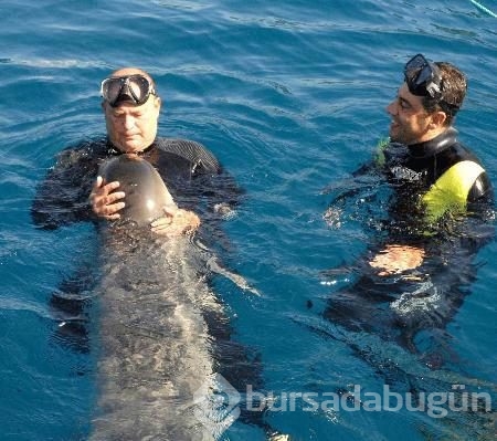 Mustafa Koç ve fok bademin su altındaki heykeline ziyaretçi akını