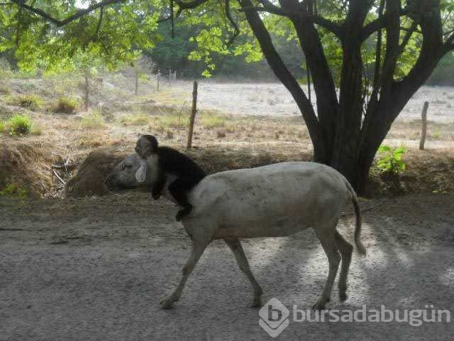 Günün en çok paylaşılan fotoğrafları