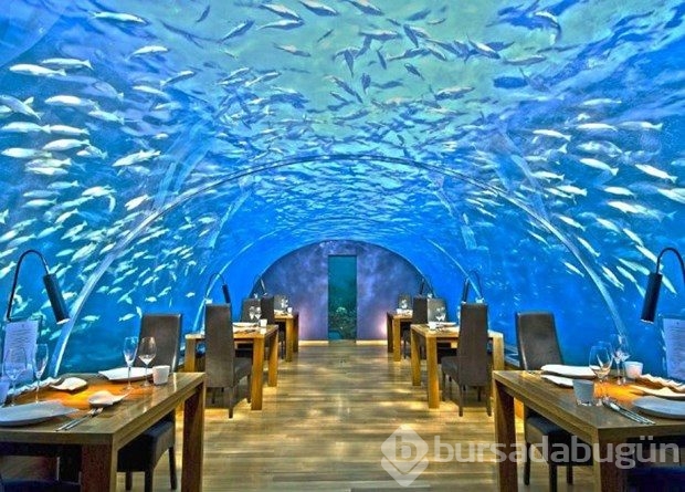 Dünyanın en ilginç restoranları