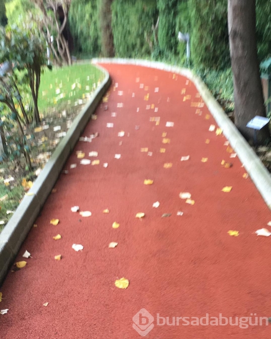 Instagram'da ünlüler (12.10.2016)