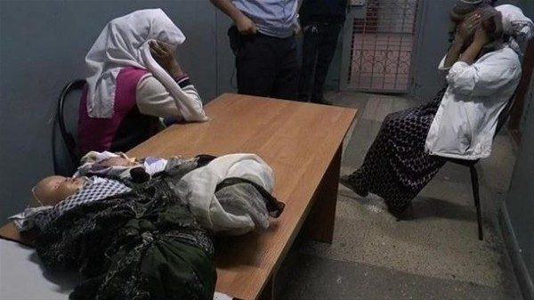Bak sen şu dolandırıcılara!