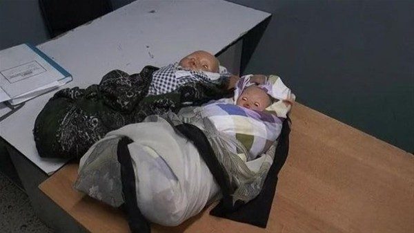 Bak sen şu dolandırıcılara!