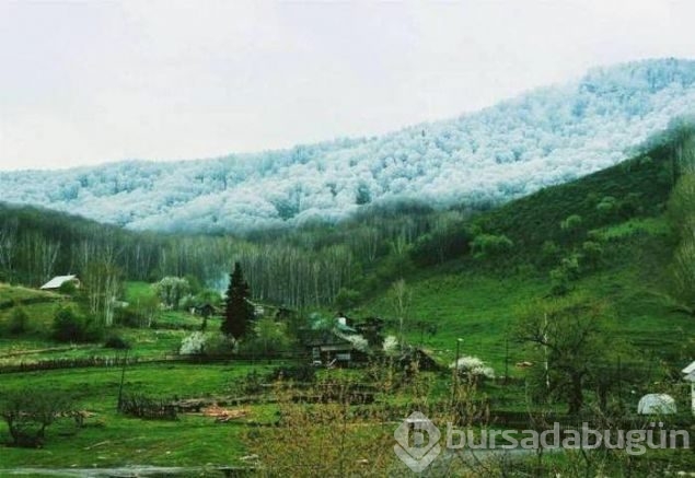 İşte hayret ettiren o anlar