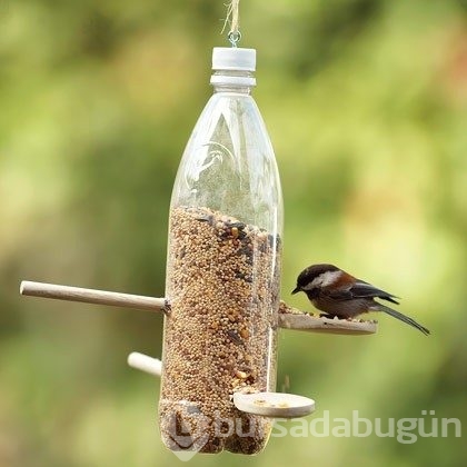 Pet Şişeleri Tekrar Tekrar Kullanabileceğiniz 10 Harika Yöntem!