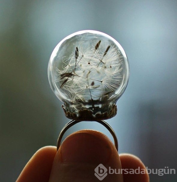 Sıra dışı yüzükler