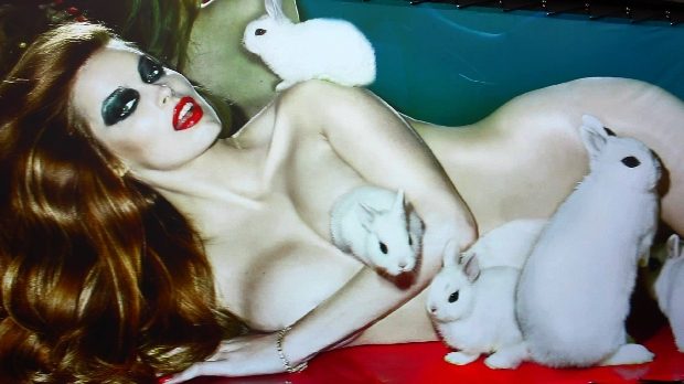 Robyn Lawley'in hayvan sevgisi