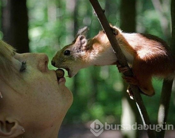 Bu fotoğrafların hepsi gerçek
