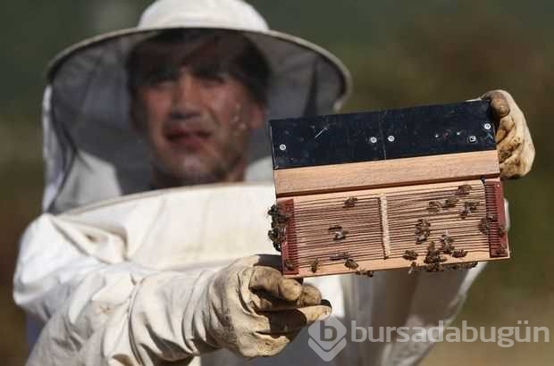 Bu zehir binbir derde deva! 