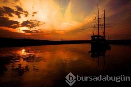Bilim tek tek kanıtladı! İşte 12 güzel sünnetimizin 12 bilimsel izahı ve kanıtı