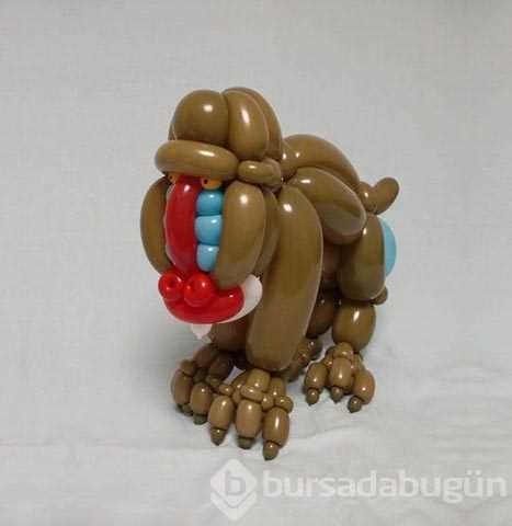 Balonlarla yapılan muhteşem hayvan figürleri