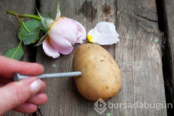 Yaptığına inanamayacaksınız