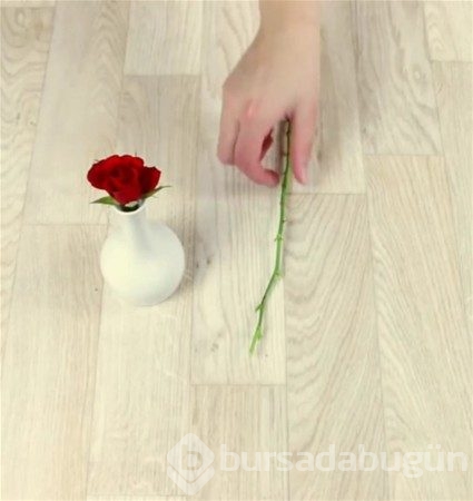 Yaptığına inanamayacaksınız