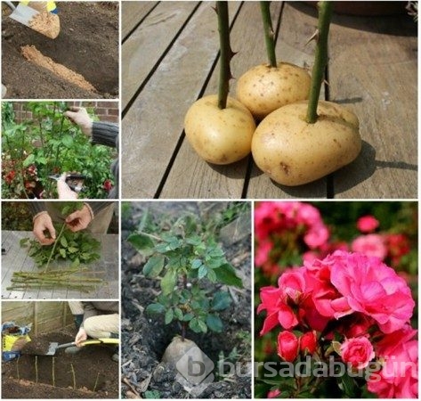 Yaptığına inanamayacaksınız