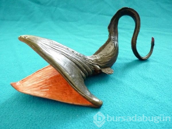 Doğada yaşayan orantısız hayvanlar