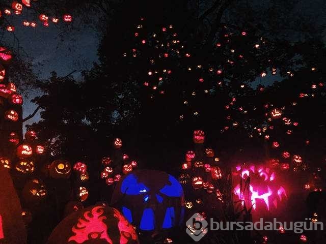 Günün en çok paylaşılan fotoğrafları