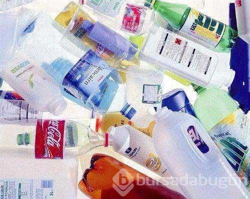 Bilmediğiniz en ilginç 50 gerçek