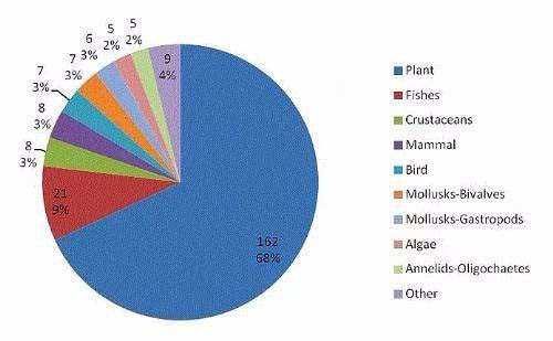Bilmediğiniz en ilginç 50 gerçek