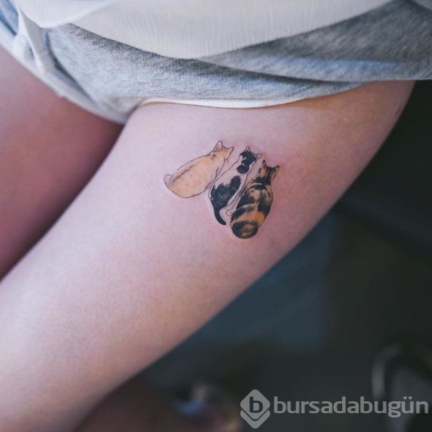 En güzel kedi dövmeleri