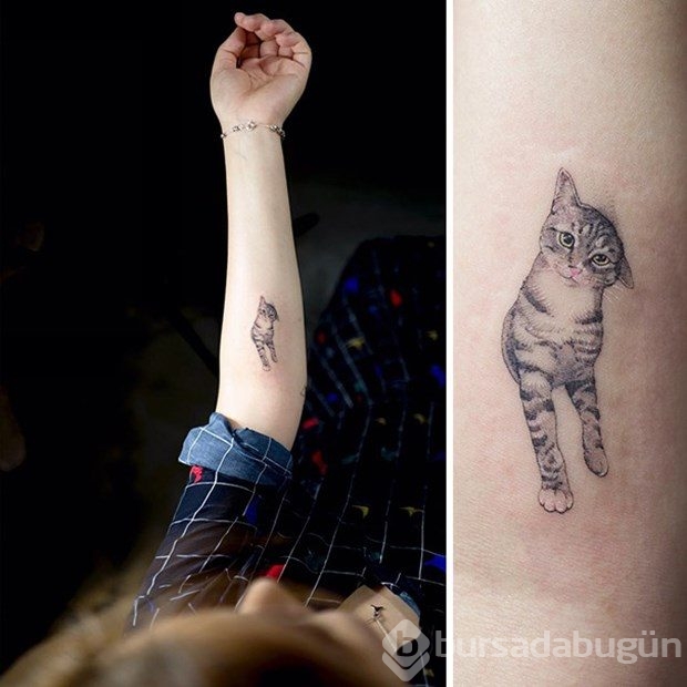 En güzel kedi dövmeleri