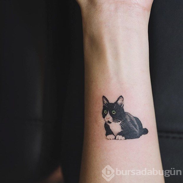 En güzel kedi dövmeleri
