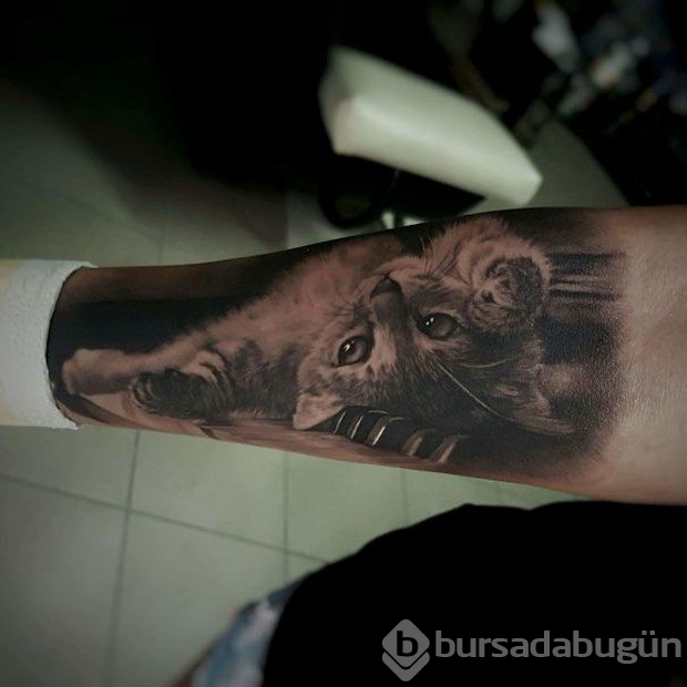 En güzel kedi dövmeleri