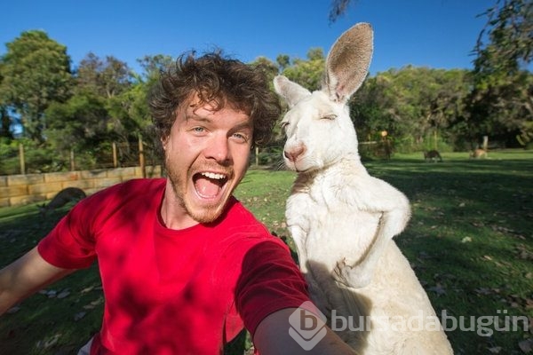 Hayvanları birlikte selfie çekilmeye ikna eden adam