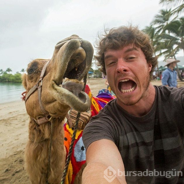 Hayvanları birlikte selfie çekilmeye ikna eden adam