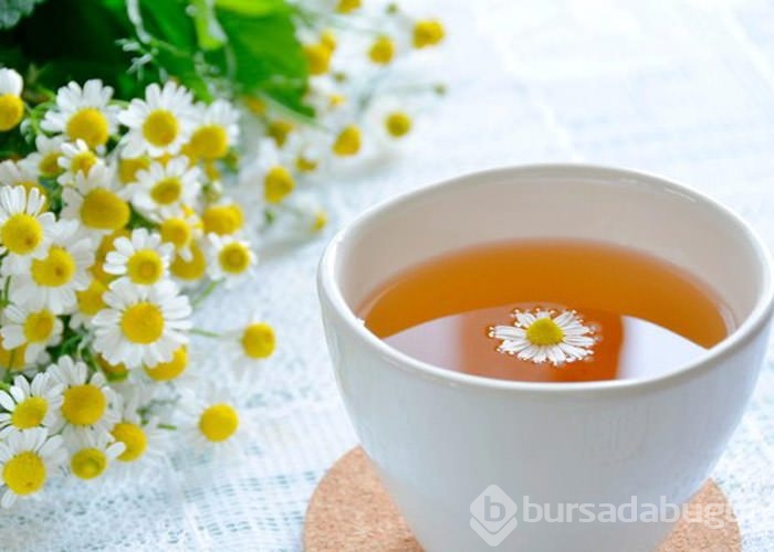 Papatya çayı nasıl yapılır? En iyi nasıl demlenir?