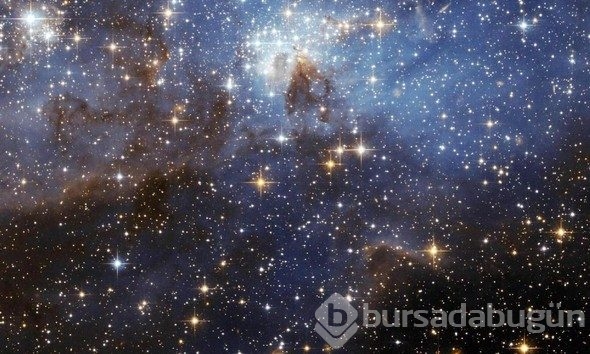 Şoke eden bilimsel gerçekler