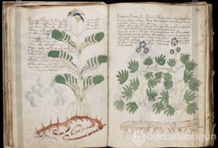 Tarihin en gizemli 10 el yazması