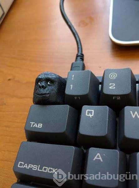 Günün en çok paylaşılan fotoğrafları