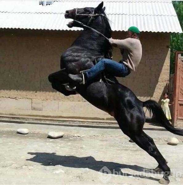 Günün en çok paylaşılan fotoğrafları