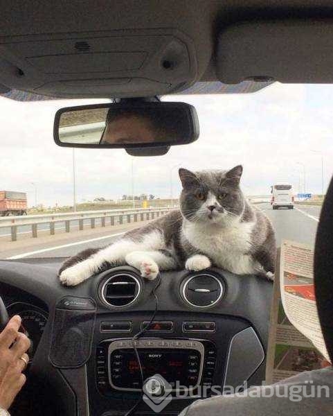 Günün en çok paylaşılan fotoğrafları