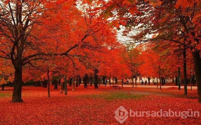 Günün en çok paylaşılan fotoğrafları