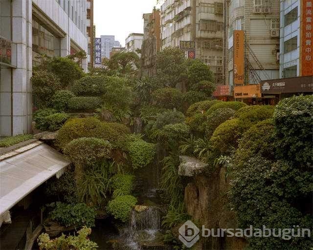 Günün en çok paylaşılan fotoğrafları