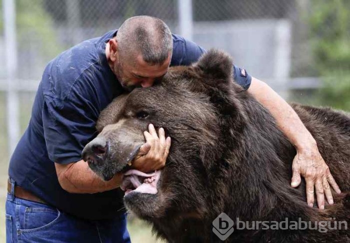 Sevimli ayı sevgisini göstermeden duramıyor!
