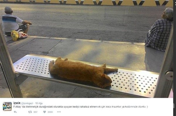 Adana'da sıradan bir gün daha