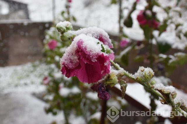 Havalar soğuyor, yağışlar geliyor