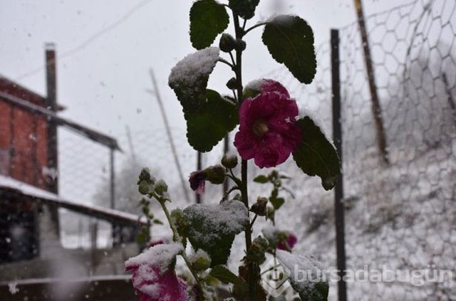 Havalar soğuyor, yağışlar geliyor