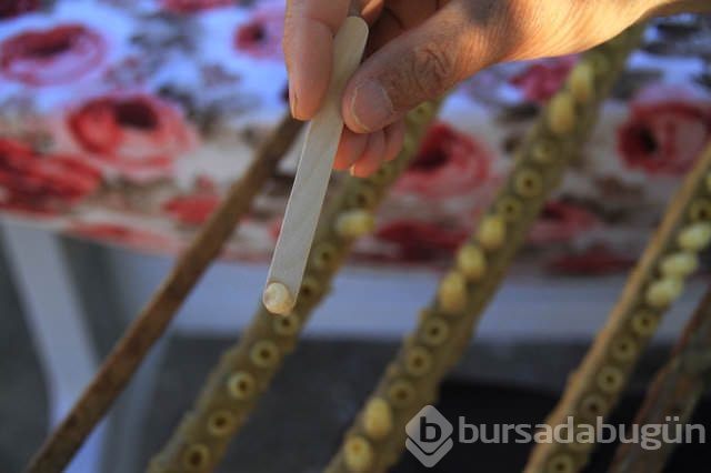 'Biz bunu inekten değil sinekten sağıyoruz'