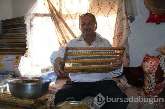 'Biz bunu inekten değil sinekten sağıyoruz'