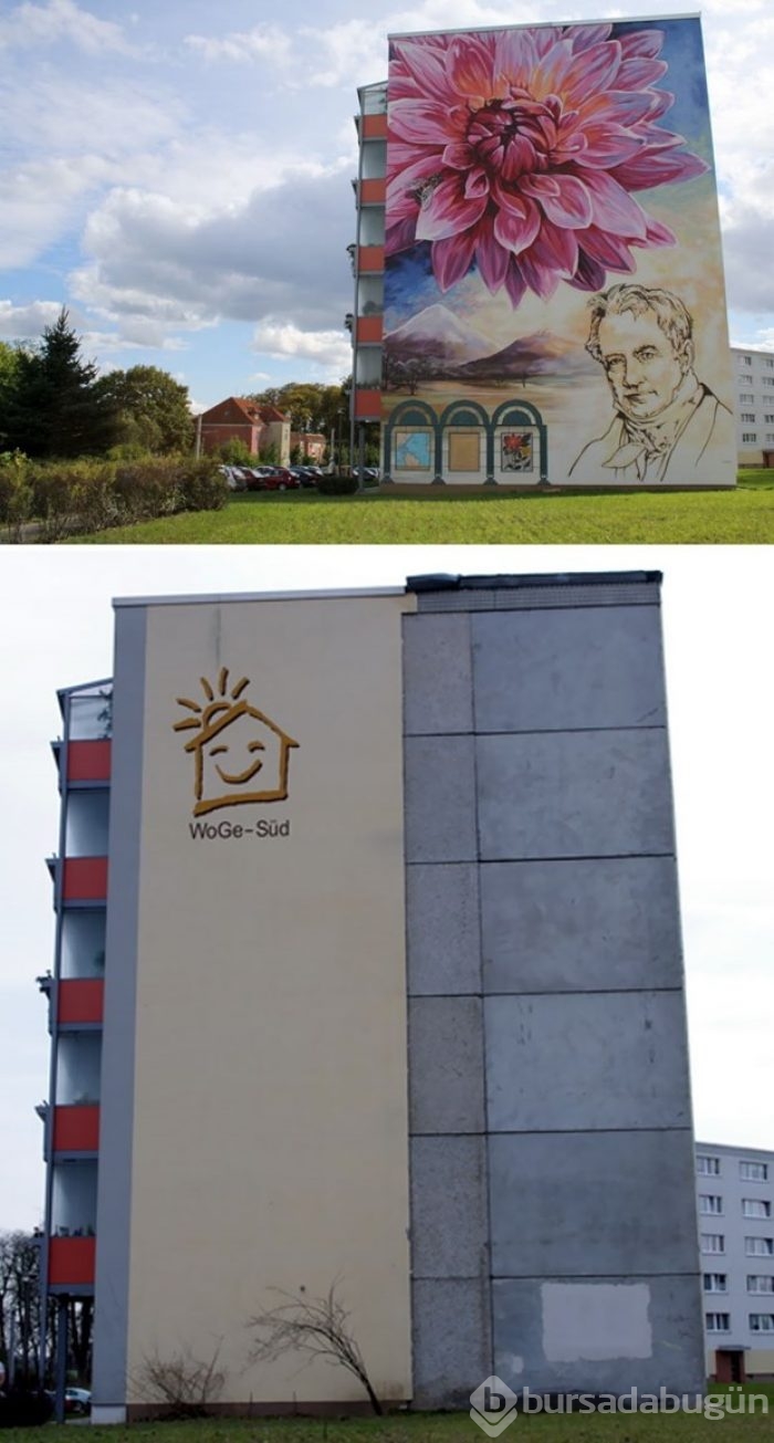 Sokak sanatında seviye atlamış çalışmalar