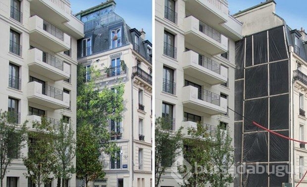 Sokak sanatında seviye atlamış çalışmalar