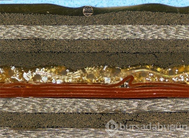 Mikroskobin dünyaya bir de bu gözle bakın