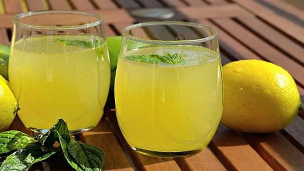 Hastalıklara karşı savunma kalkanı
