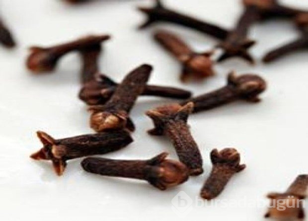 Hastalıklara karşı savunma kalkanı
