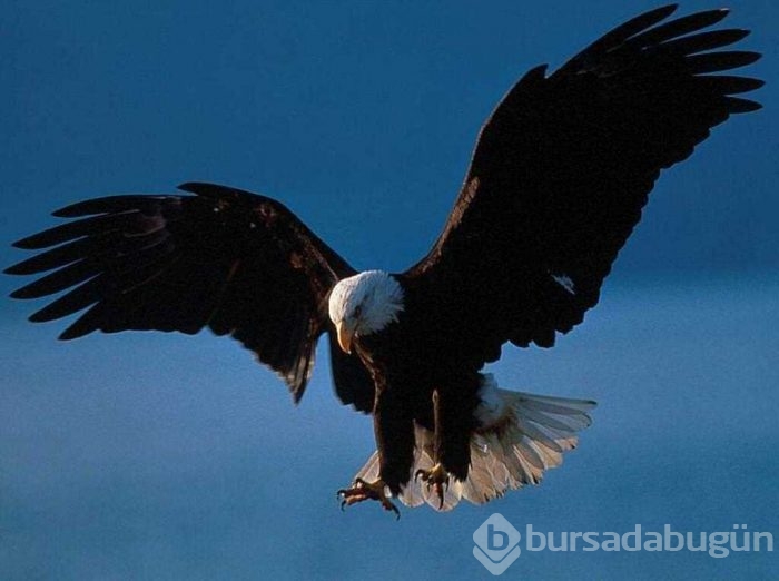 Günlük hayatınızı kolaylaştıracak bilgiler