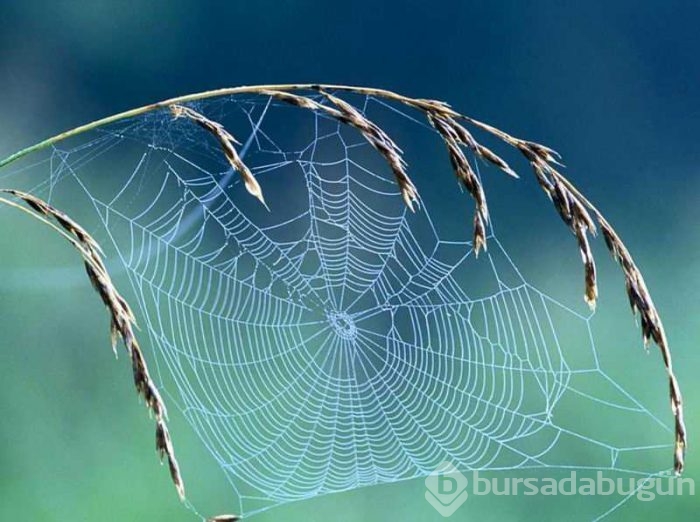 Günlük hayatınızı kolaylaştıracak bilgiler