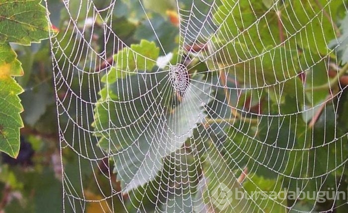 Günlük hayatınızı kolaylaştıracak bilgiler