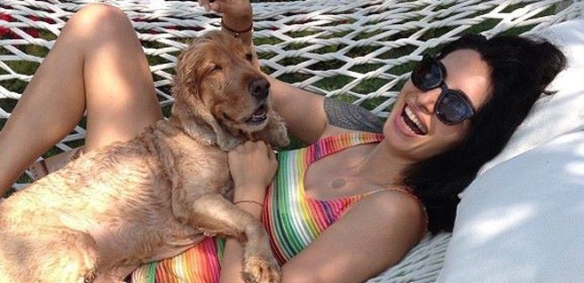 Ünlü oyuncuya köpek tartışmasında ceza